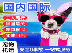 涟水航空快递国际宠物托运 【国